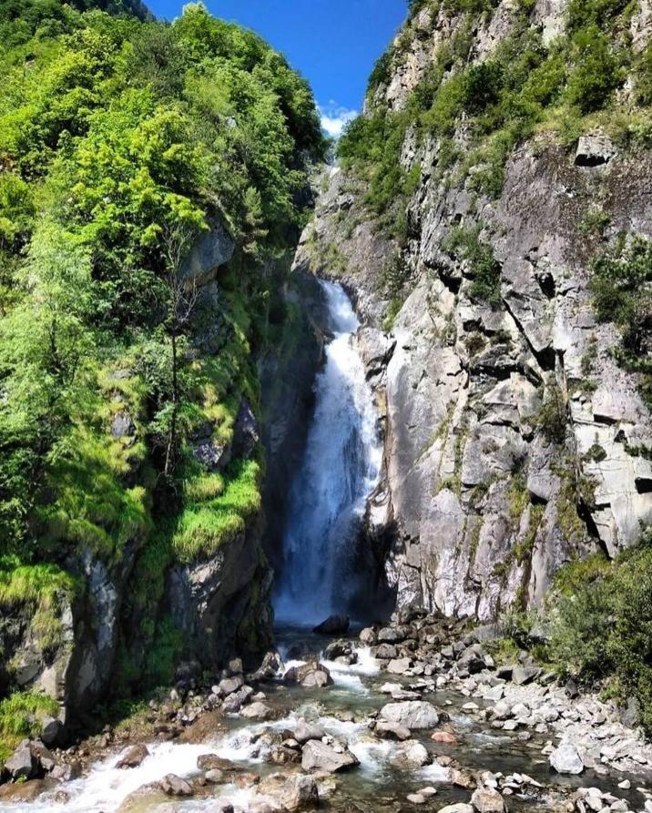 Silene * Le Bourg-dʼOisans